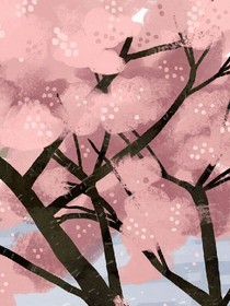 奇妙的夏日