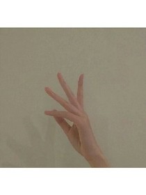 意中人。