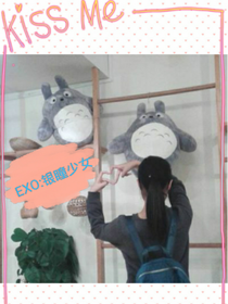 EXO:銀瞳少女