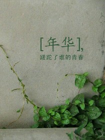 EXO消失阳光