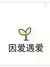 因爱遇爱