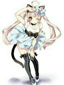 天降猫仆