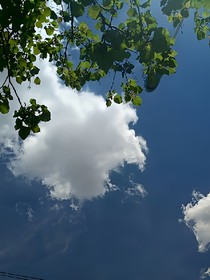 挚爱于心