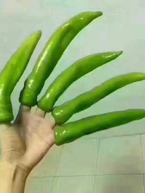 這才是社會(huì)