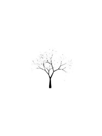 从此植物不再需要阳光