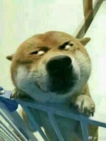 游戏里的世界