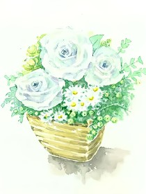 薄荷故事籍_d991