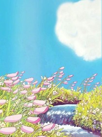 麻雀与鹰