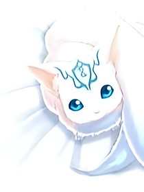 wuli白魅之狐