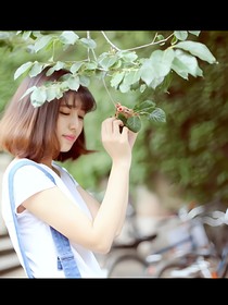 林谜