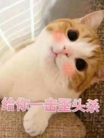 還沒想好書名