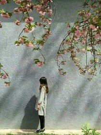 唯爱鹿凝