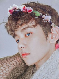 EXO----木槿花