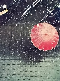 告诉我忘了你