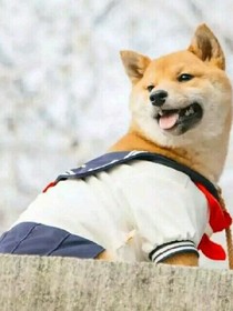 你好，陌生人。