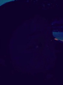 只是，安靜的待在這青春