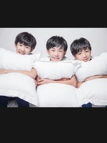四叶草的忧伤