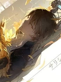 总裁独宠的傻小姐