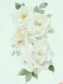 花憶