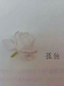 乾兮宦觞