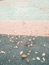 淡然回首那三年