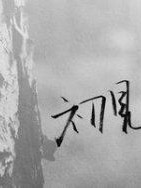 溺宠特工妃