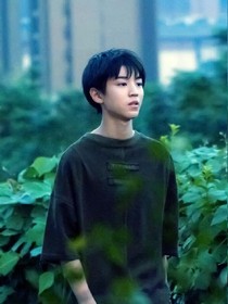 再见阳光那少年