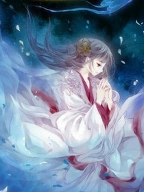 我的仙君大人
