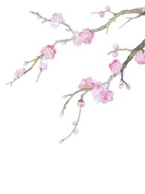 桃花诺