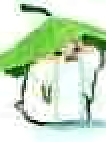 相遇一九九四