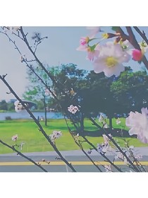 重拾