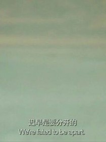 巨鲸落，那最后的温柔