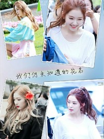 EXO之我們仍未知道的花名