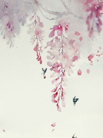 入画