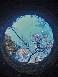 女人的一生