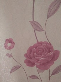 霸道总裁请放开