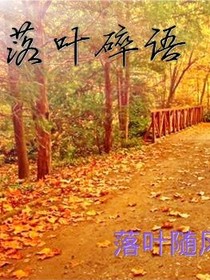 落叶碎语