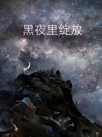黑夜里绽放