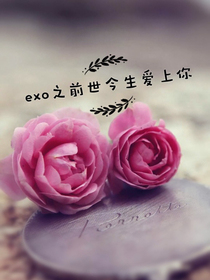 exo之前世今生爱上你
