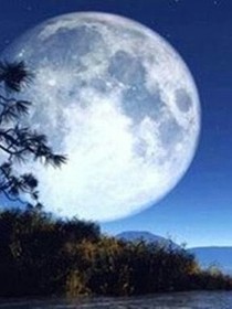 过年前的我