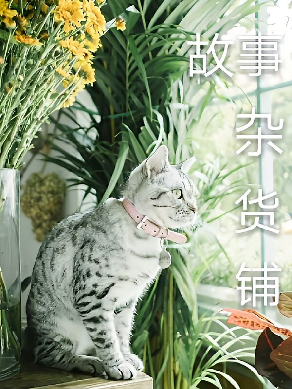 九兮的故事杂货铺