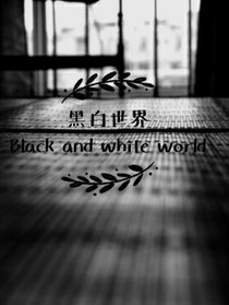 黑白的世界