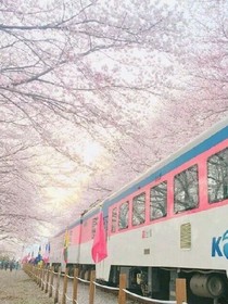 這個(gè)世界屬于你，而你屬于我