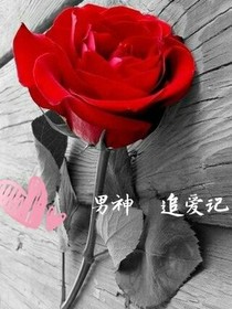 十二男神的追愛修煉手冊