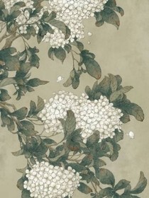 任槐苒苒