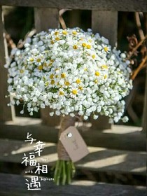 古往今來(lái)之與幸福相遇