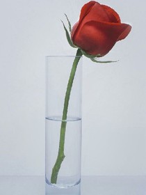 遇见，不该如此忐忑