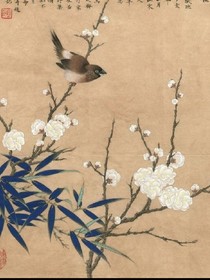 梨花凋零誰家傷