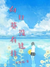 向日葵没有过往