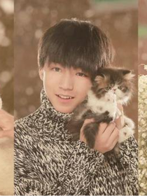 tfboys之薰衣草